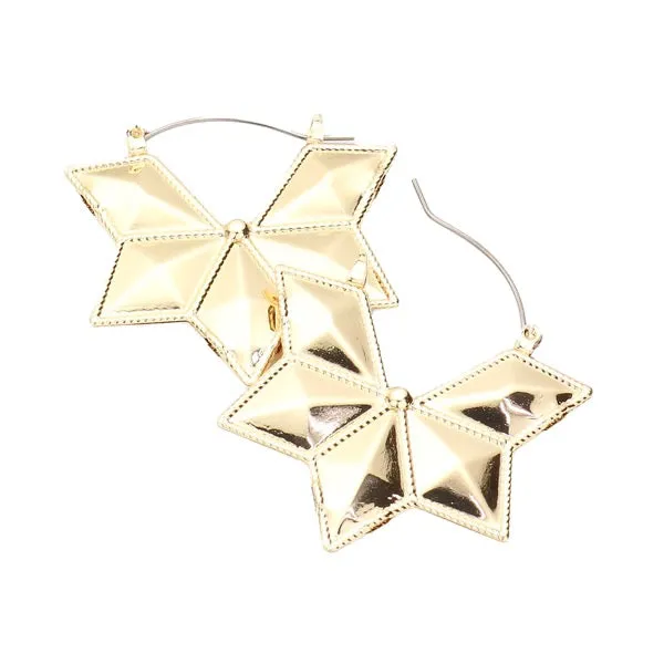 Abstract Metal Pin Catch Detailed Earrings