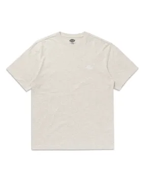 T-Shirt Uomo Dickies Summerdale Tee Grigio